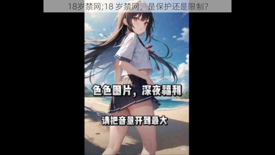 18岁禁网;18 岁禁网，是保护还是限制？