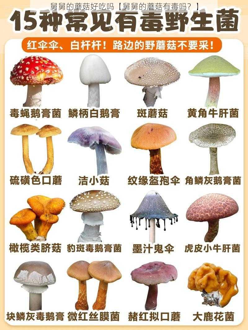 舅舅的蘑菇好吃吗【舅舅的蘑菇有毒吗？】