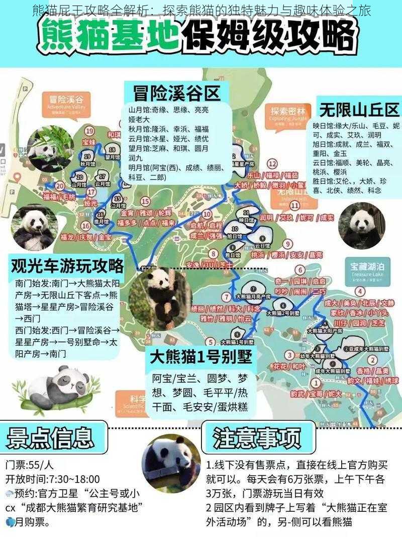 熊猫屁王攻略全解析：探索熊猫的独特魅力与趣味体验之旅