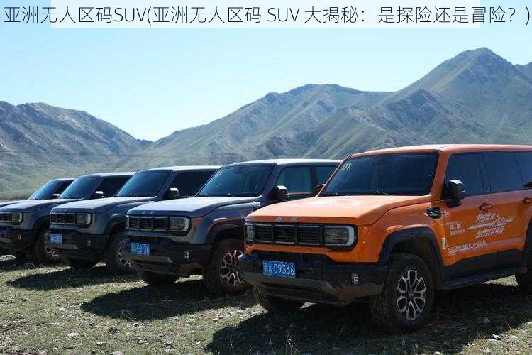 亚洲无人区码SUV(亚洲无人区码 SUV 大揭秘：是探险还是冒险？)