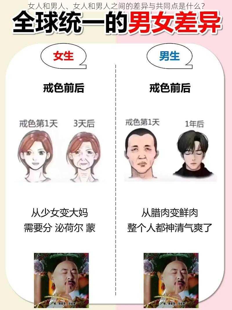 女人和男人、女人和男人之间的差异与共同点是什么？