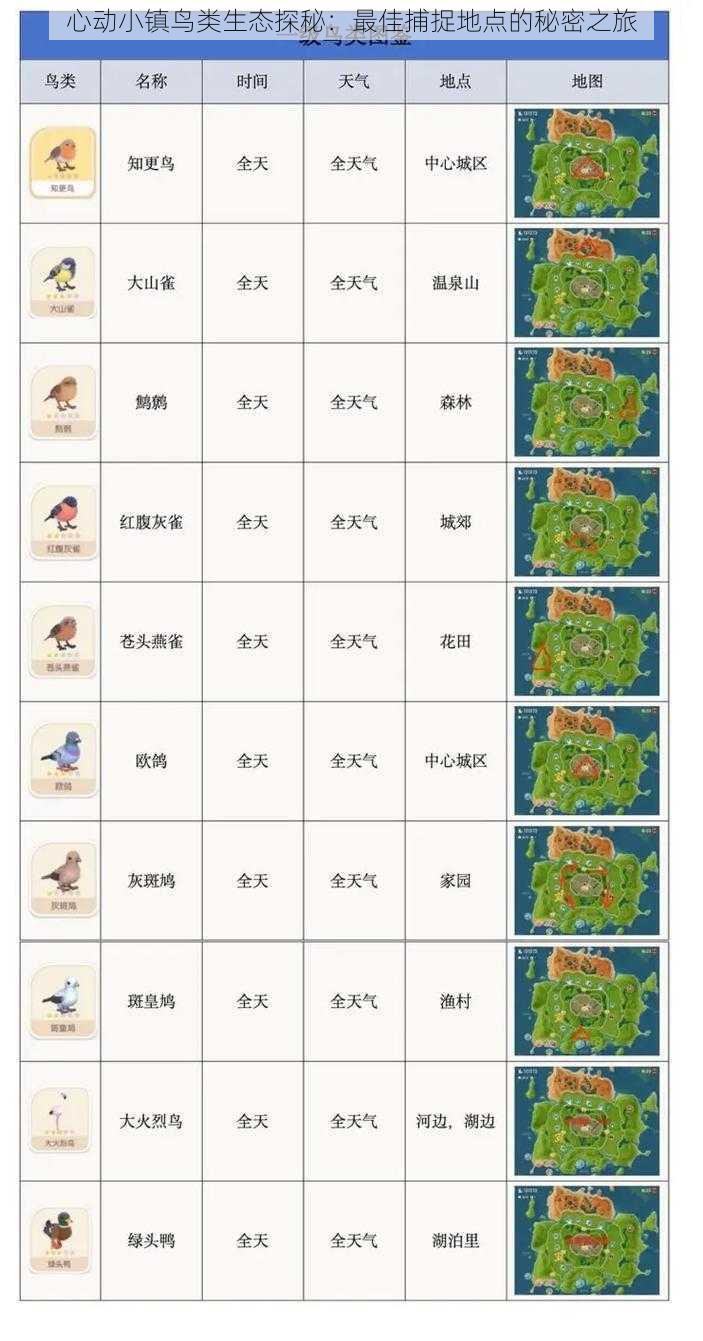 心动小镇鸟类生态探秘：最佳捕捉地点的秘密之旅