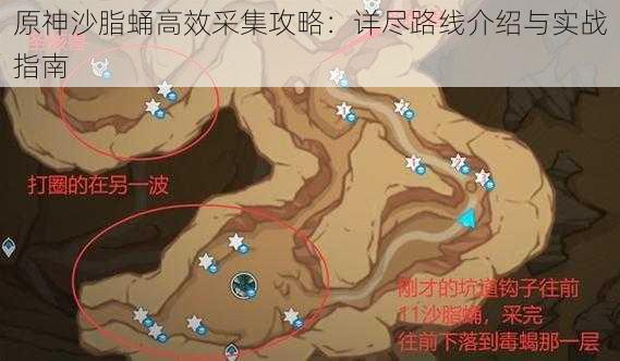 原神沙脂蛹高效采集攻略：详尽路线介绍与实战指南