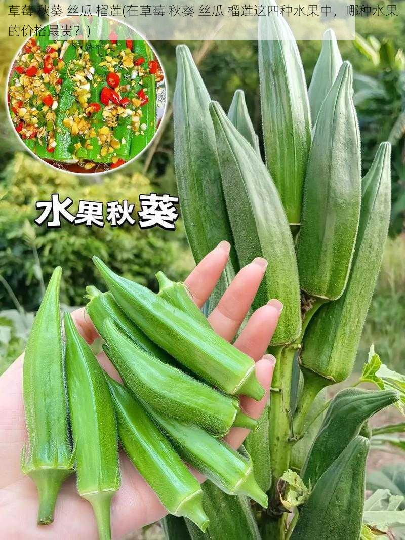 草莓 秋葵 丝瓜 榴莲(在草莓 秋葵 丝瓜 榴莲这四种水果中，哪种水果的价格最贵？)