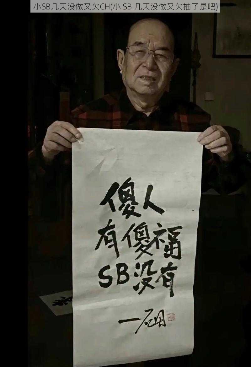 小SB几天没做又欠CH(小 SB 几天没做又欠抽了是吧)