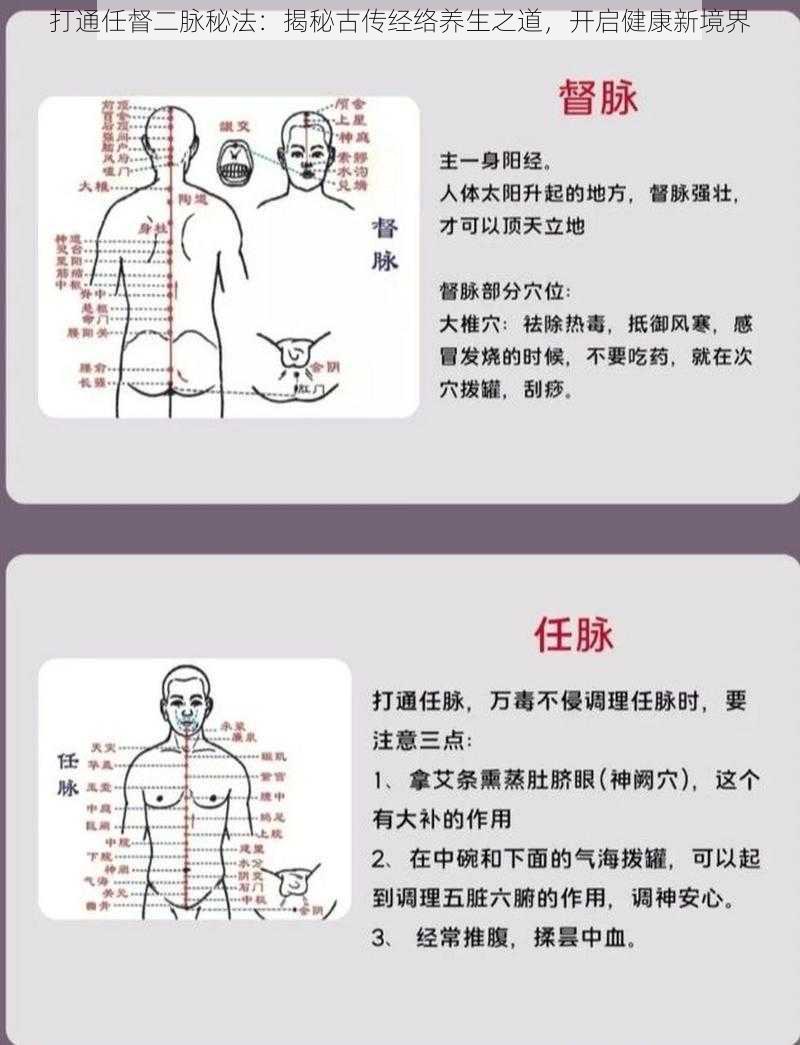 打通任督二脉秘法：揭秘古传经络养生之道，开启健康新境界