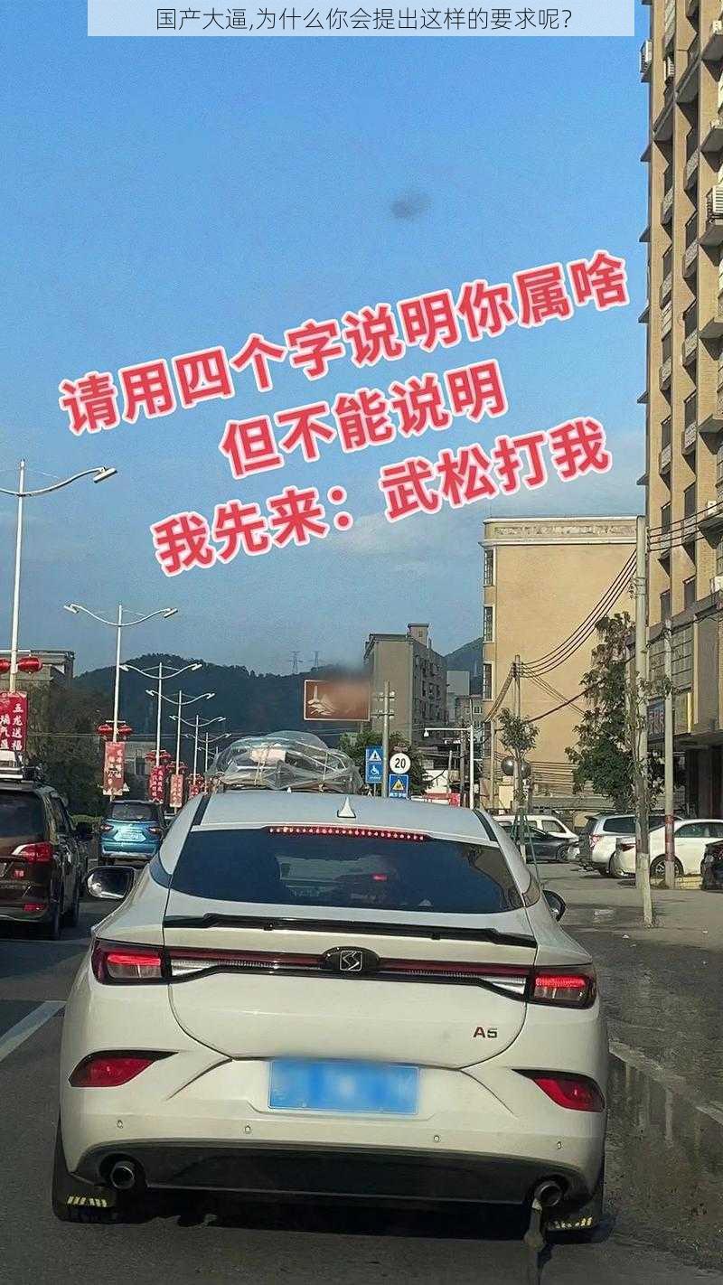 国产大逼,为什么你会提出这样的要求呢？