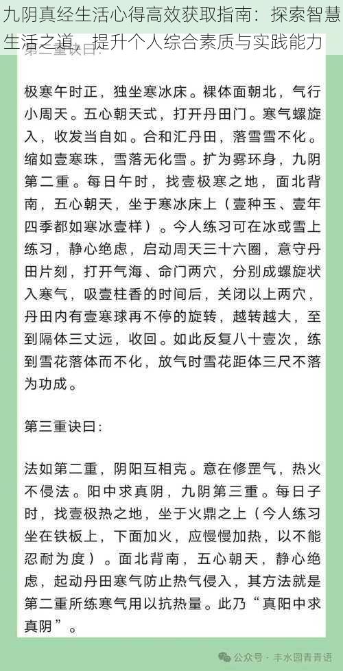 九阴真经生活心得高效获取指南：探索智慧生活之道，提升个人综合素质与实践能力