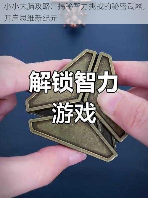 小小大脑攻略：揭秘智力挑战的秘密武器，开启思维新纪元