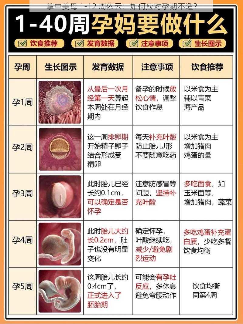 掌中美母 1-12 周依云：如何应对孕期不适？