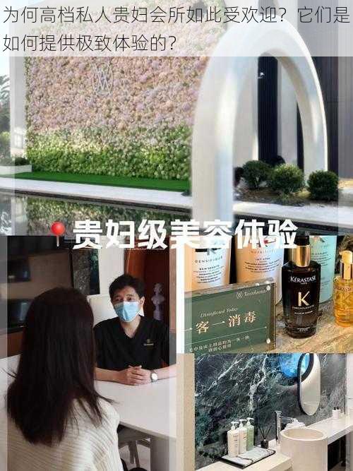 为何高档私人贵妇会所如此受欢迎？它们是如何提供极致体验的？