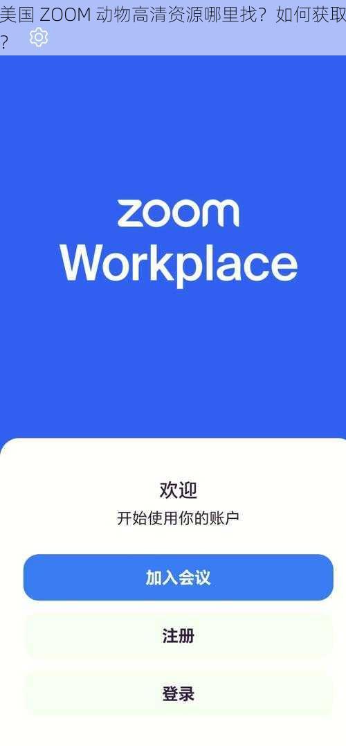 美国 ZOOM 动物高清资源哪里找？如何获取？