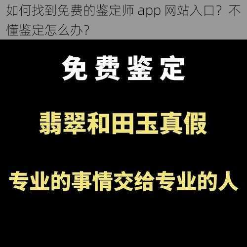 如何找到免费的鉴定师 app 网站入口？不懂鉴定怎么办？