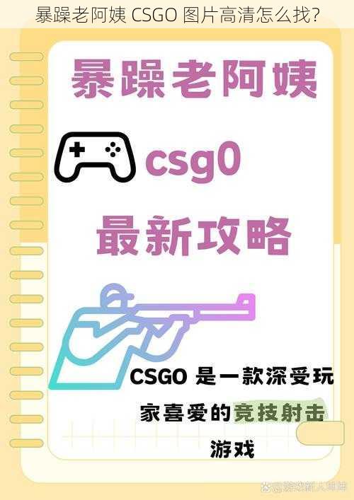 暴躁老阿姨 CSGO 图片高清怎么找？