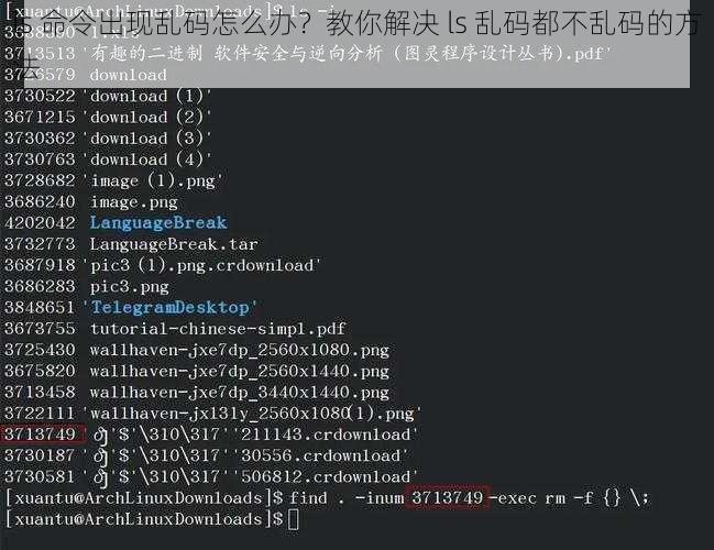ls 命令出现乱码怎么办？教你解决 ls 乱码都不乱码的方法