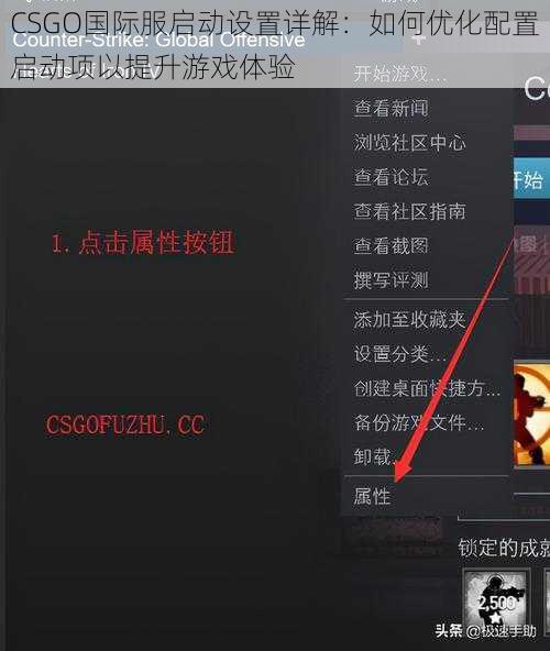 CSGO国际服启动设置详解：如何优化配置启动项以提升游戏体验